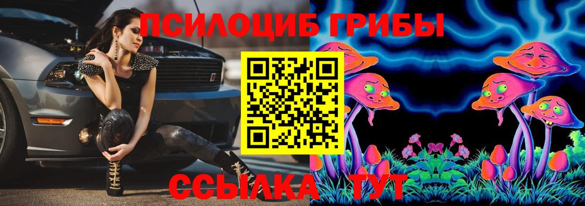 Иркутск  Псилоцибиновые грибы Psilocybine cubensis  Вход с VPN 
