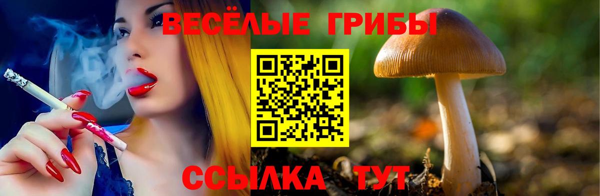 Псилоцибиновые грибы GOLDEN TEACHER Иркутск